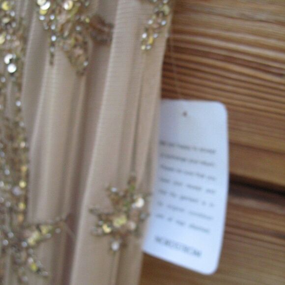 Pisarro Nights Nights Blush Beige Beaded Sequin Gown Dress 10 - Picture 13 of 13